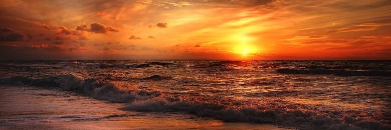 زايد الحربي✌️ banner