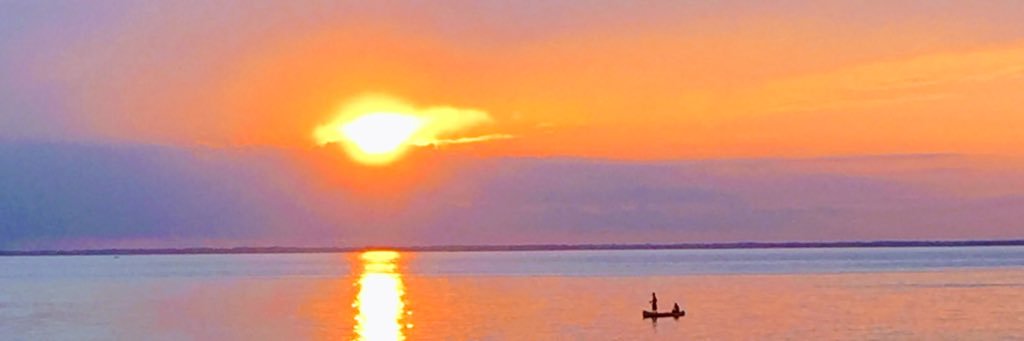 MylesOlsen's profile banner image