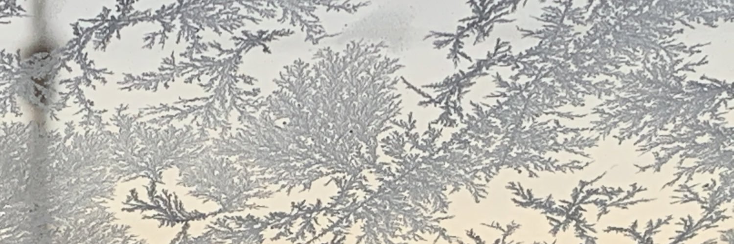 elf_vespertil's profile banner image
