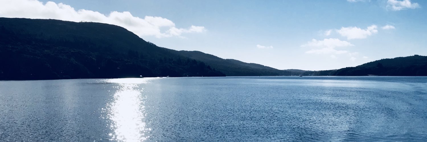 Lewispepall's profile banner image