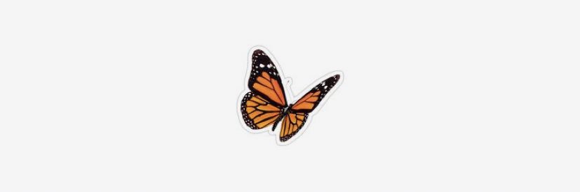 _aaliyy's profile banner image