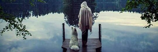 cinzia48635103's profile banner image
