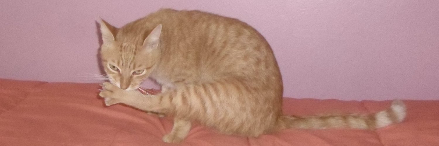 grace en internet banner