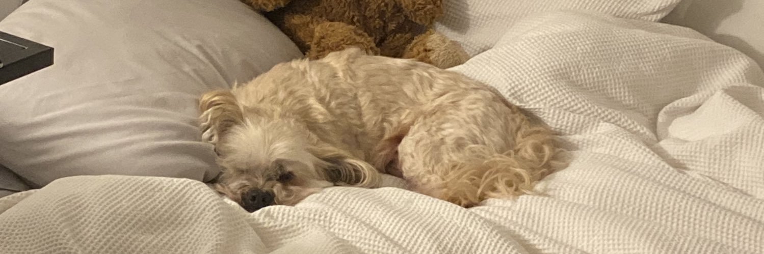 LilleyStephanie's profile banner image