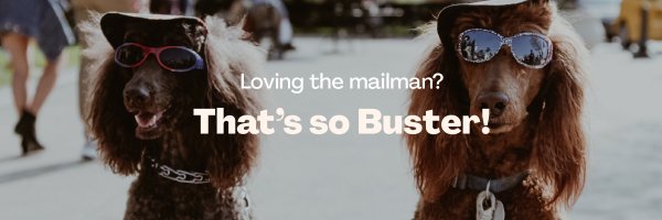 busterbox_ Profile Banner