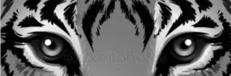 KY_ThatGuy's profile banner image