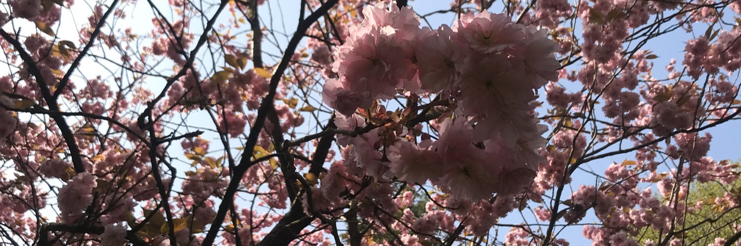 FashionMem's profile banner image
