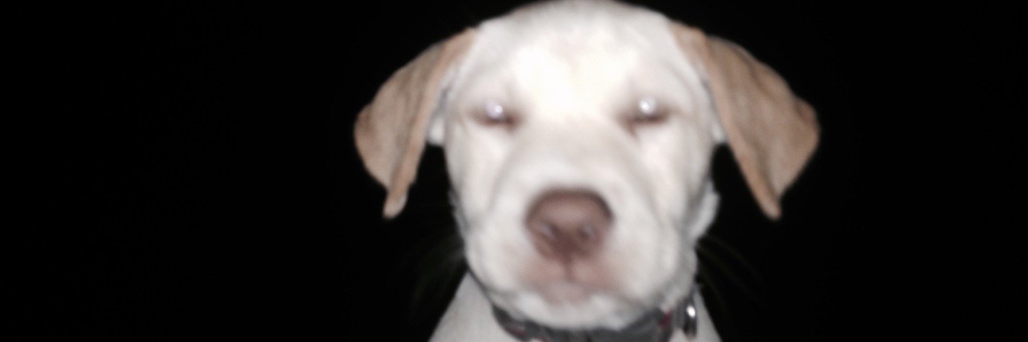 rickdiiick's profile banner image