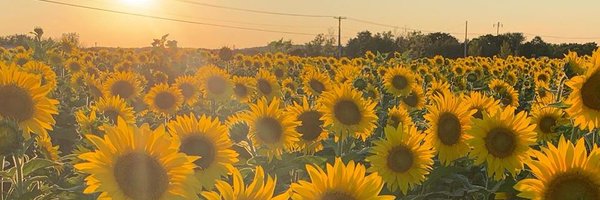 DontBeNaCly Profile Banner