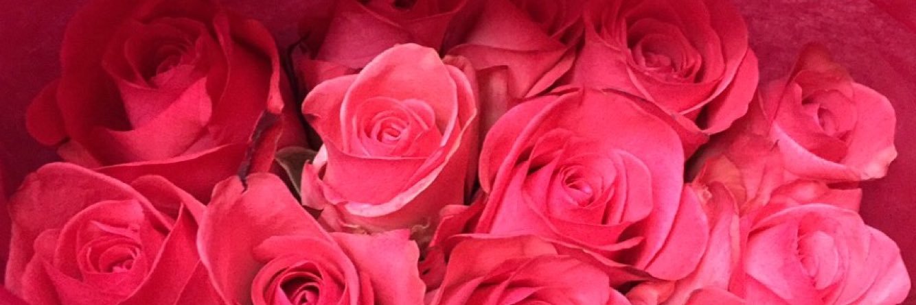 ___CARDENAS's profile banner image