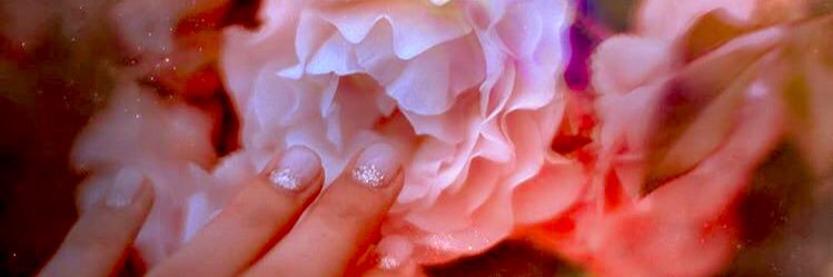 gracemiralia's profile banner image