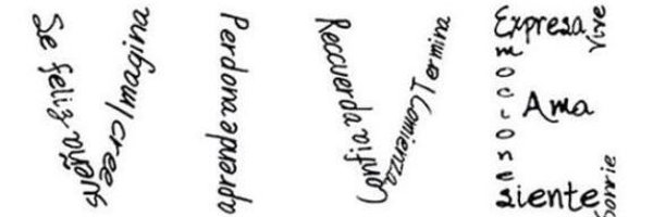 Agn3s_M0ll Profile Banner