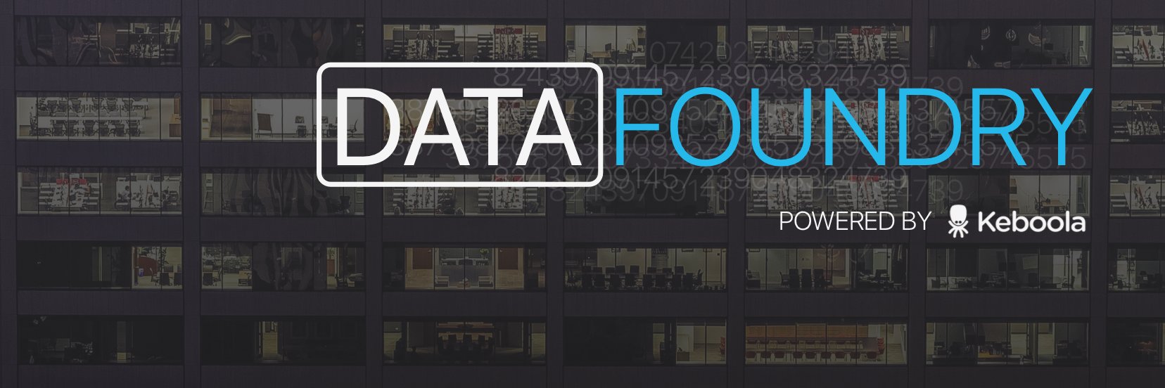 DataFoundry banner