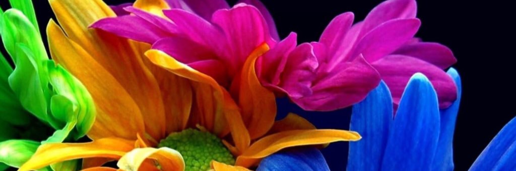 eblue88's profile banner image