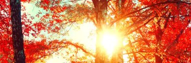 adairty's profile banner image