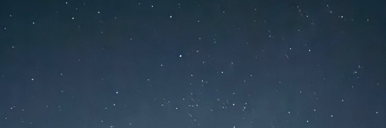 itsbunney's profile banner image