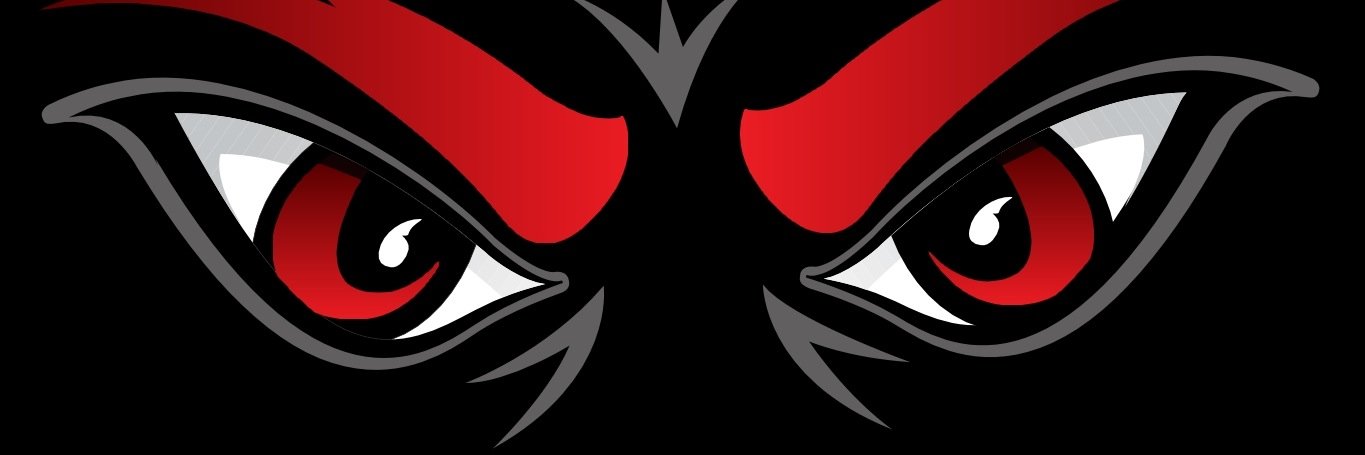 Barnhillism's profile banner image