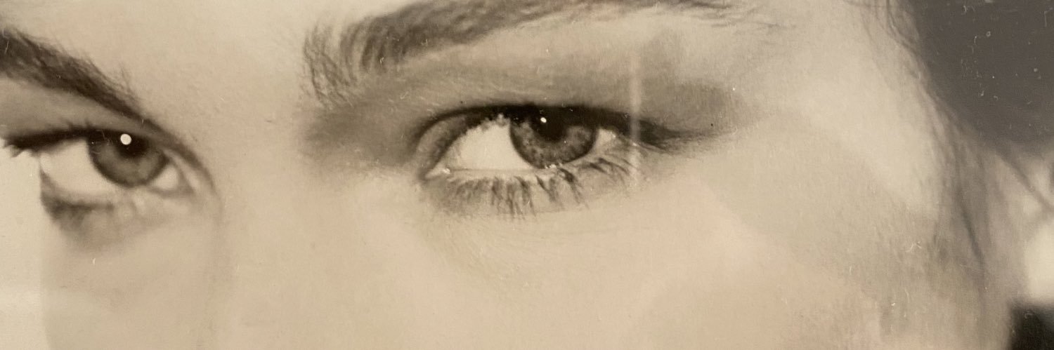 Stefania Rocca banner