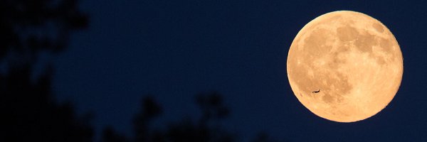 BoldkoD Profile Banner