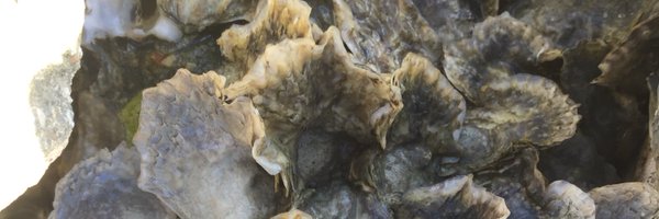 TylerOrtego Profile Banner