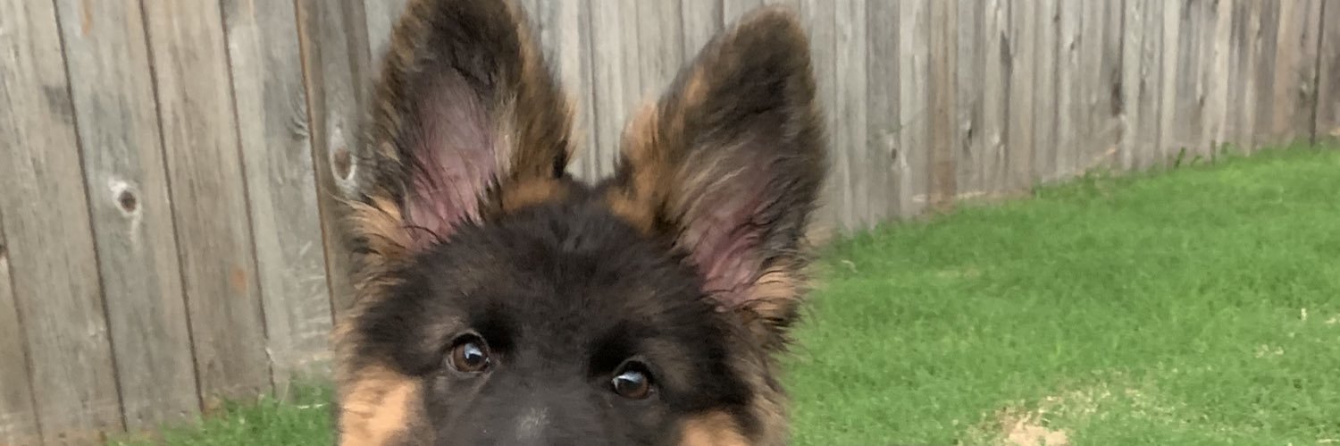 rylee_eppes's profile banner image
