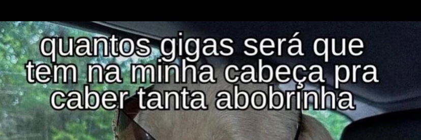 Aryane_Borges's profile banner image