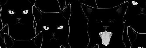 a_peperina's profile banner image
