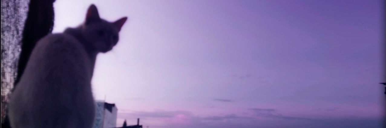 05AndresRamirez's profile banner image