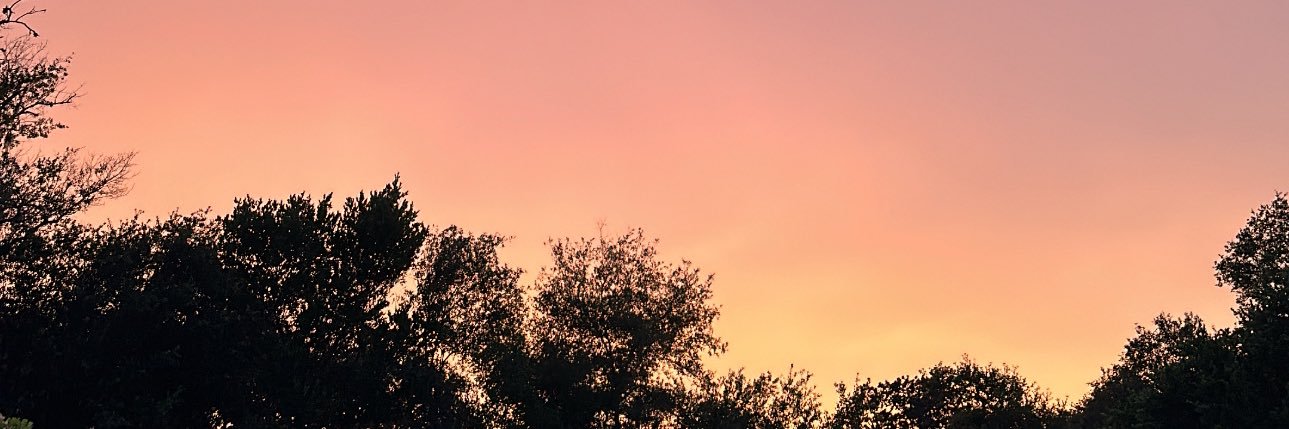 Taylorrhoadss's profile banner image