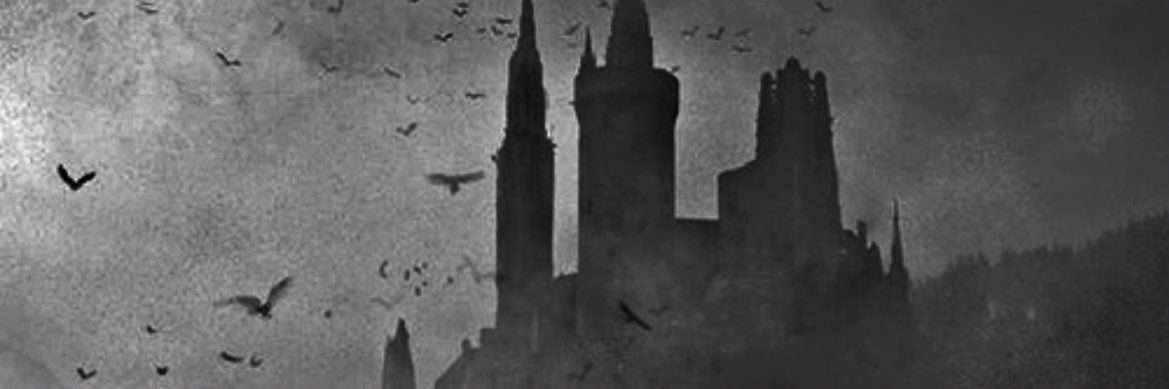 gaberisha's profile banner image