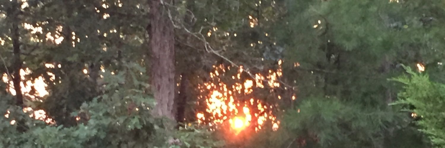 Kalah Love 🇺🇲🍊 banner