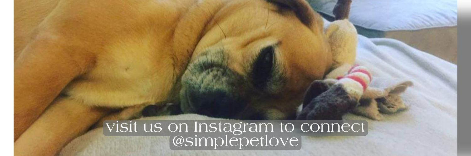 simplepetlove's profile banner image