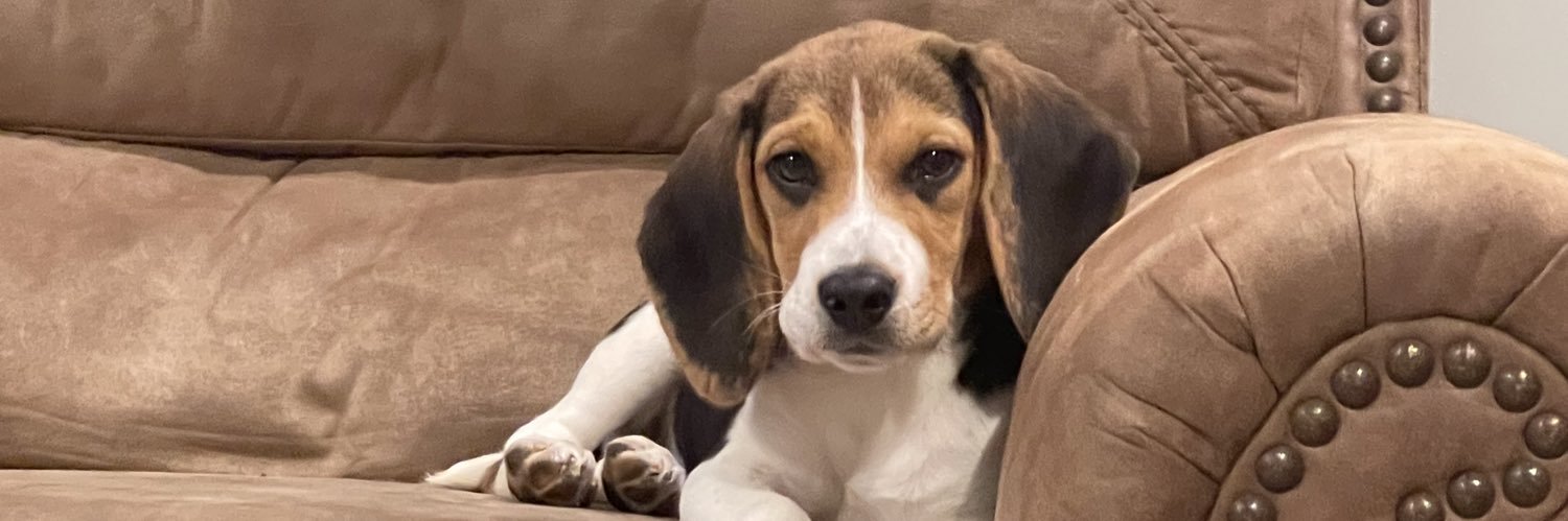shellllbyyyyyyy's profile banner image