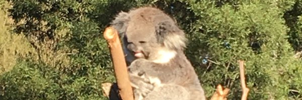 acbkiwi Profile Banner