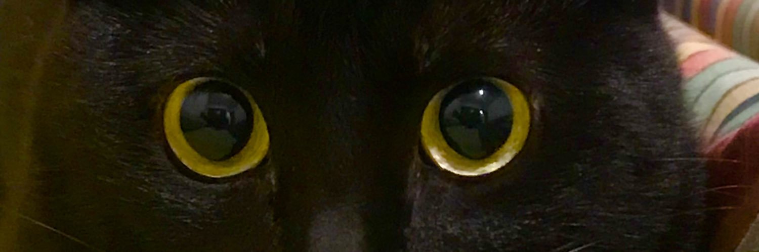 PABLO § banner