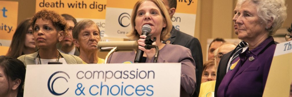 Kim Callinan banner