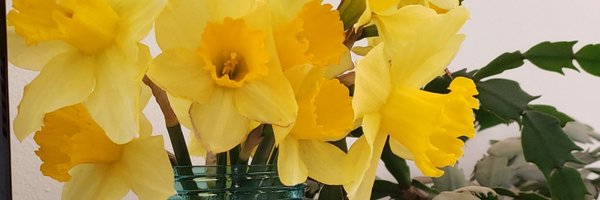 valhalla_10 Profile Banner