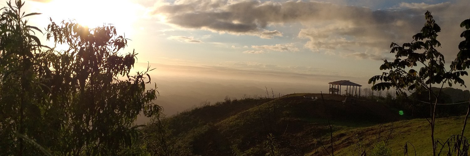 daniloradio's profile banner image