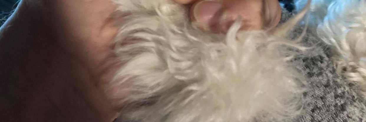 TjayyHixx's profile banner image