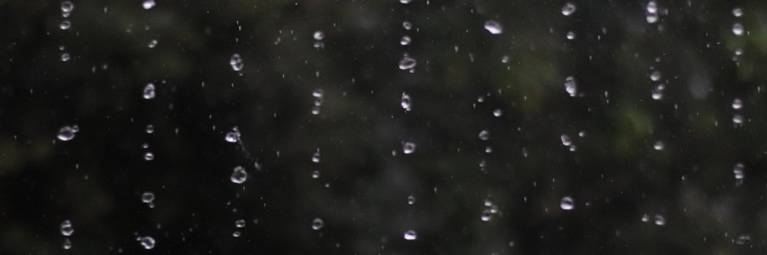ppinheirosilva's profile banner image