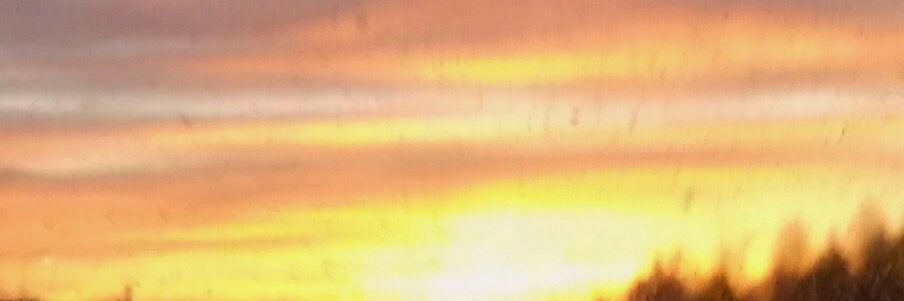mizmello's profile banner image
