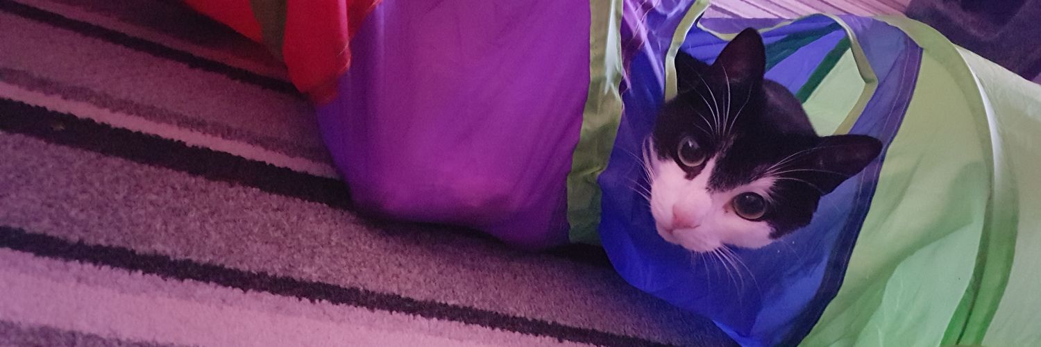 Skippy90's profile banner image