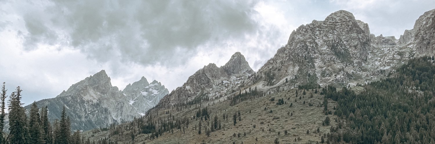 cleekeener's profile banner image