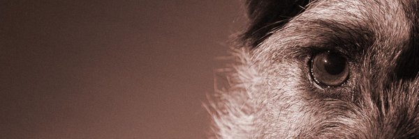 hoddydod70 Profile Banner