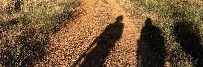 kandyarciga's profile banner image