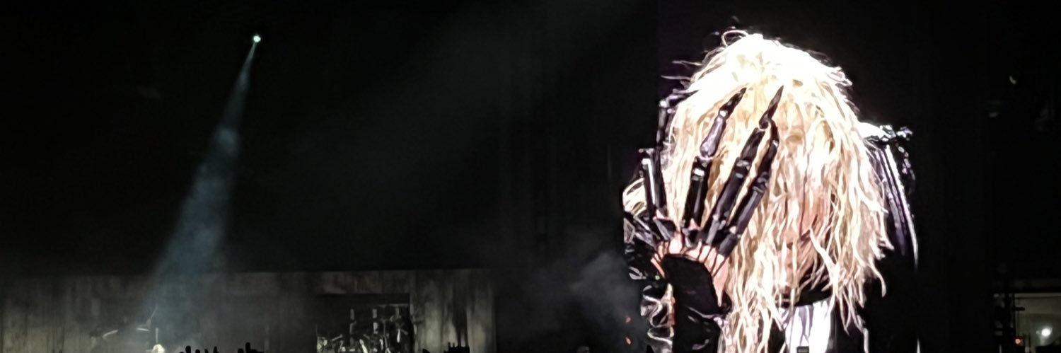fionapierogi's profile banner image
