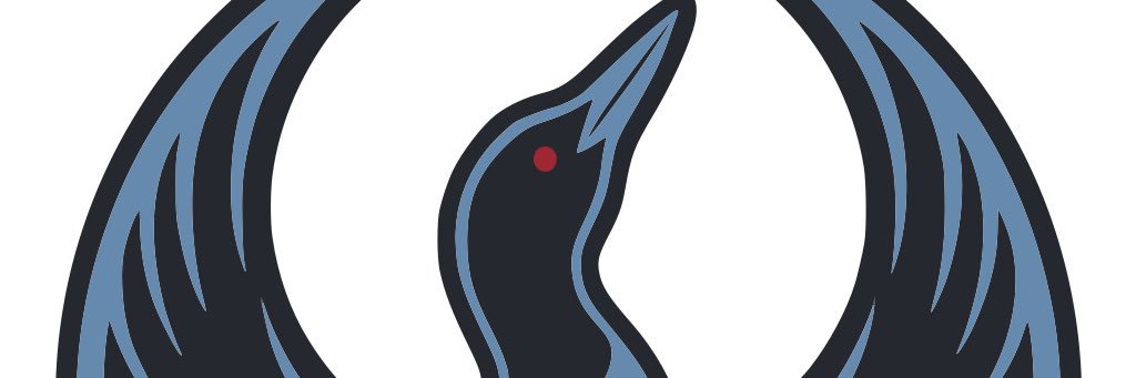 Dev banner