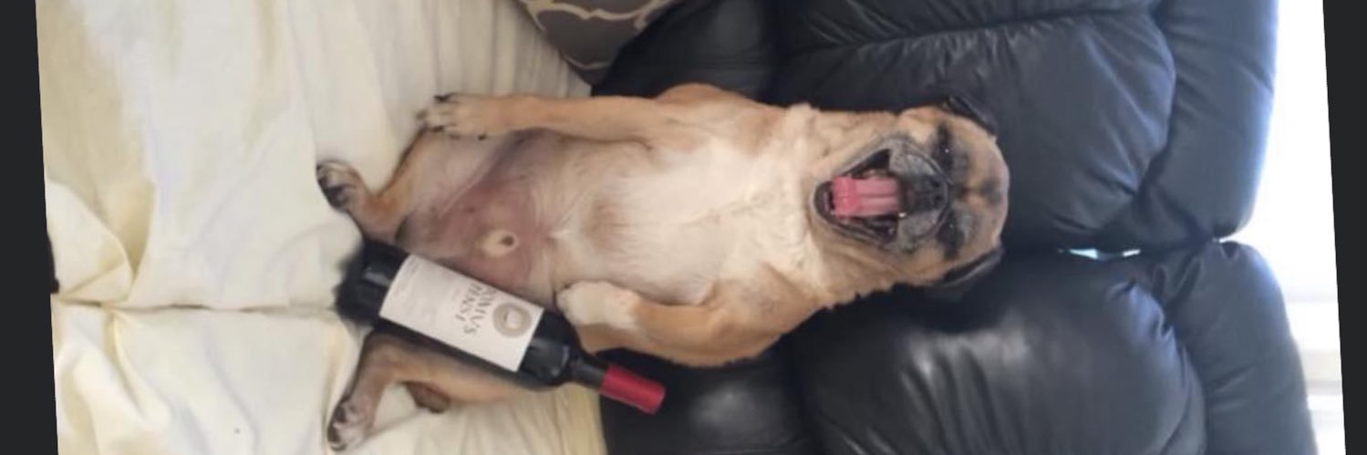 CöṣCöḃ🐶 banner