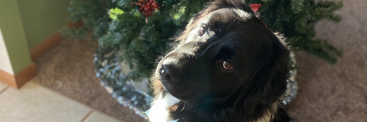 Clo_Monree's profile banner image