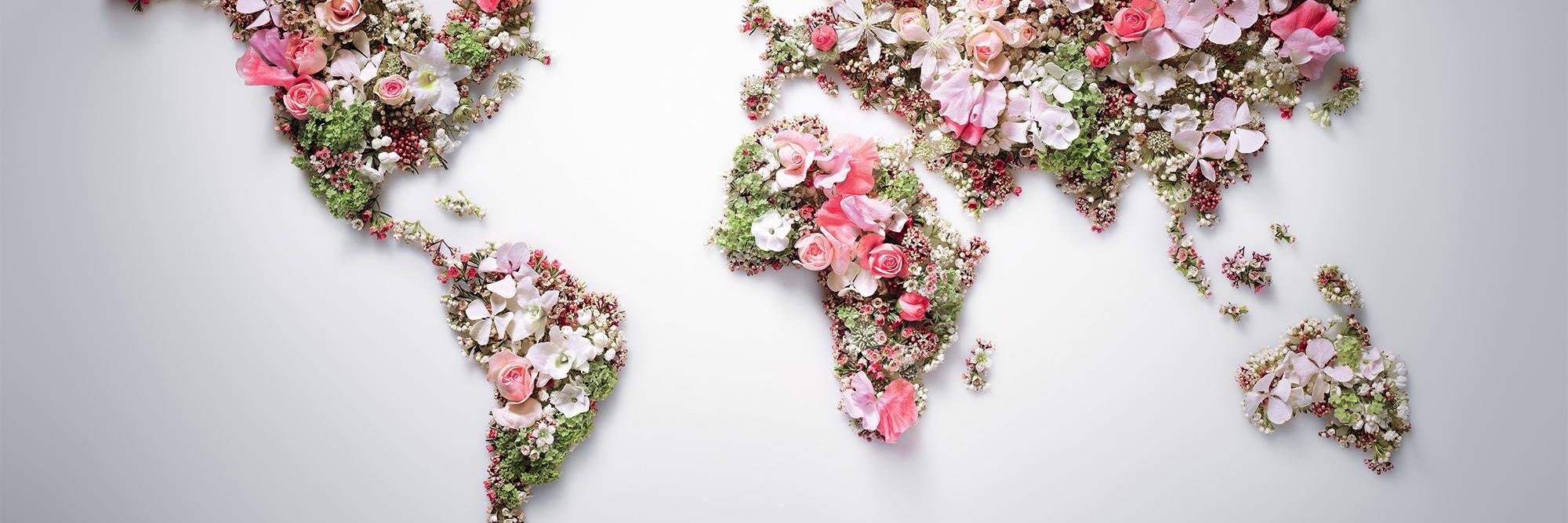 Valerie Lee Make Up banner